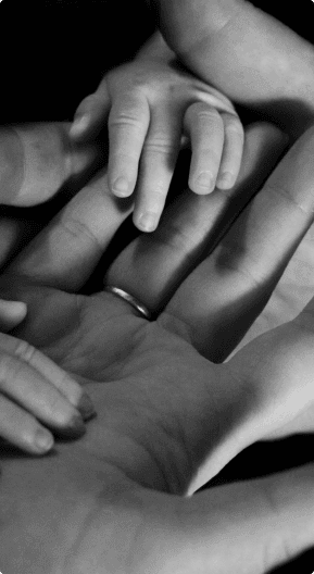 Сімейний адвокат