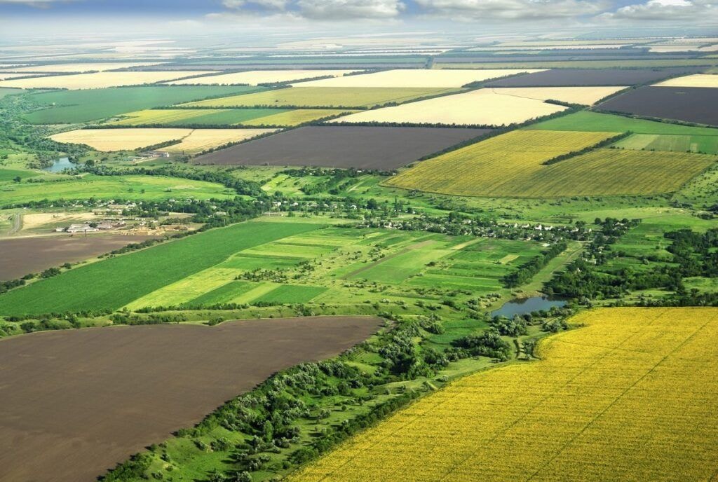 Що таке сервітут і як його оформити на ділянку?