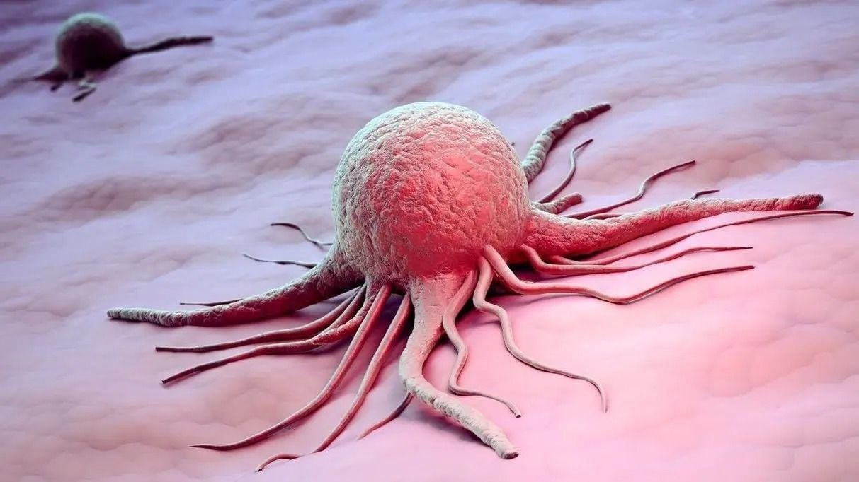 Стаття 10 розкладу хвороб військово-лікарської комісії